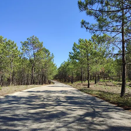 Tatil Evi Surya's Pataias