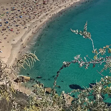 Surya's Tatil Evi Pataias