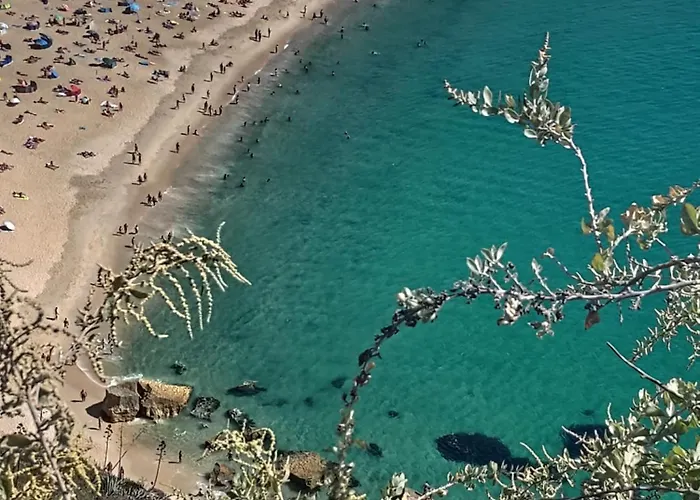 Surya's Holiday home Pataias